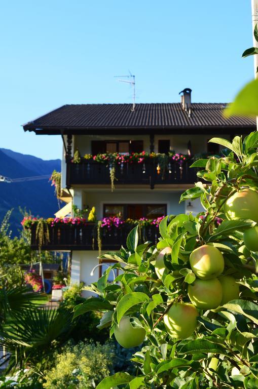Zimmervermietung Gröberhof Schenna Exterior foto